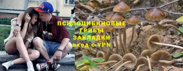 прущие грибы Протвино