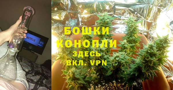 прущие грибы Протвино