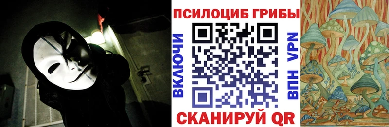 Галлюциногенные грибы Cubensis Удомля