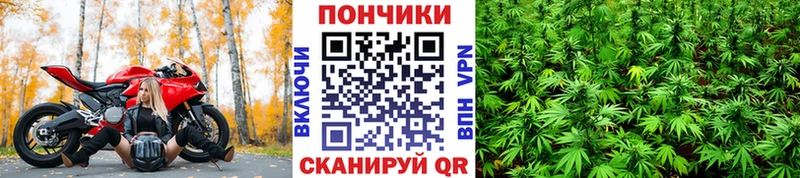 Бошки марихуана гибрид Удомля